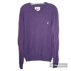 Purple Joules V-neck Wool Sweater